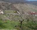 Sky-_MG_2641