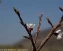 Sky-_MG_2649