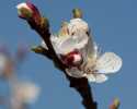 Sky-_MG_2650