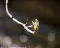 Sky-_MG_2666