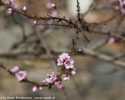 Sky-_MG_2691