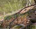 Sky-_MG_2719