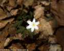 Sky-_MG_2759