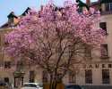 Sky-_MG_2770