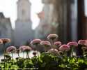Sky-_MG_2775