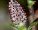 Sky-_MG_2802