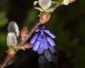Sky-_MG_2807