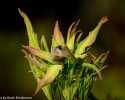 Sky-_MG_2839