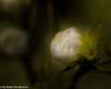 Sky-_MG_2848