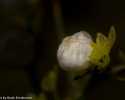 Sky-_MG_2852