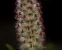 Sky-_MG_2878
