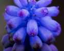 Sky-_MG_2890