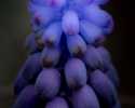 Sky-_MG_2891