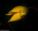 Sky-_MG_2905