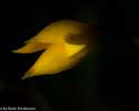 Sky-_MG_2910