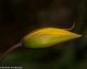 Sky-_MG_2919
