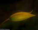Sky-_MG_2921