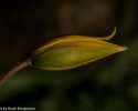Sky-_MG_2923