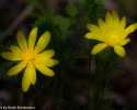 Sky-_MG_2927