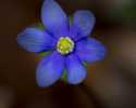 Sky-_MG_2932