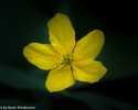 Sky-_MG_2940