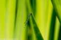 sky-img_3386