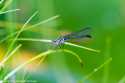 sky-img_3399