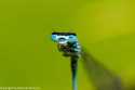 sky-img_3443