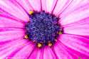 sky-img_3598