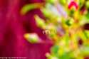 sky-img_3600