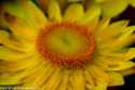 sky-img_4911