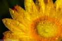 sky-img_4931