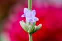 sky-img_5222