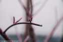 sky-img_7651