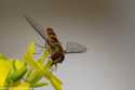 sky-img_7879