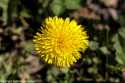 sky-img_8496
