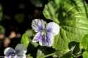 sky-img_8712