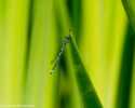 sky-img_3386