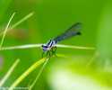 sky-img_3396