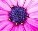 sky-img_3598