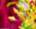 sky-img_3600