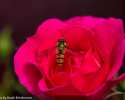 sky-img_3609