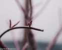 sky-img_7651