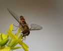 sky-img_7879