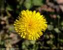 sky-img_8496
