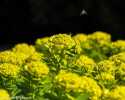 sky-img_8537